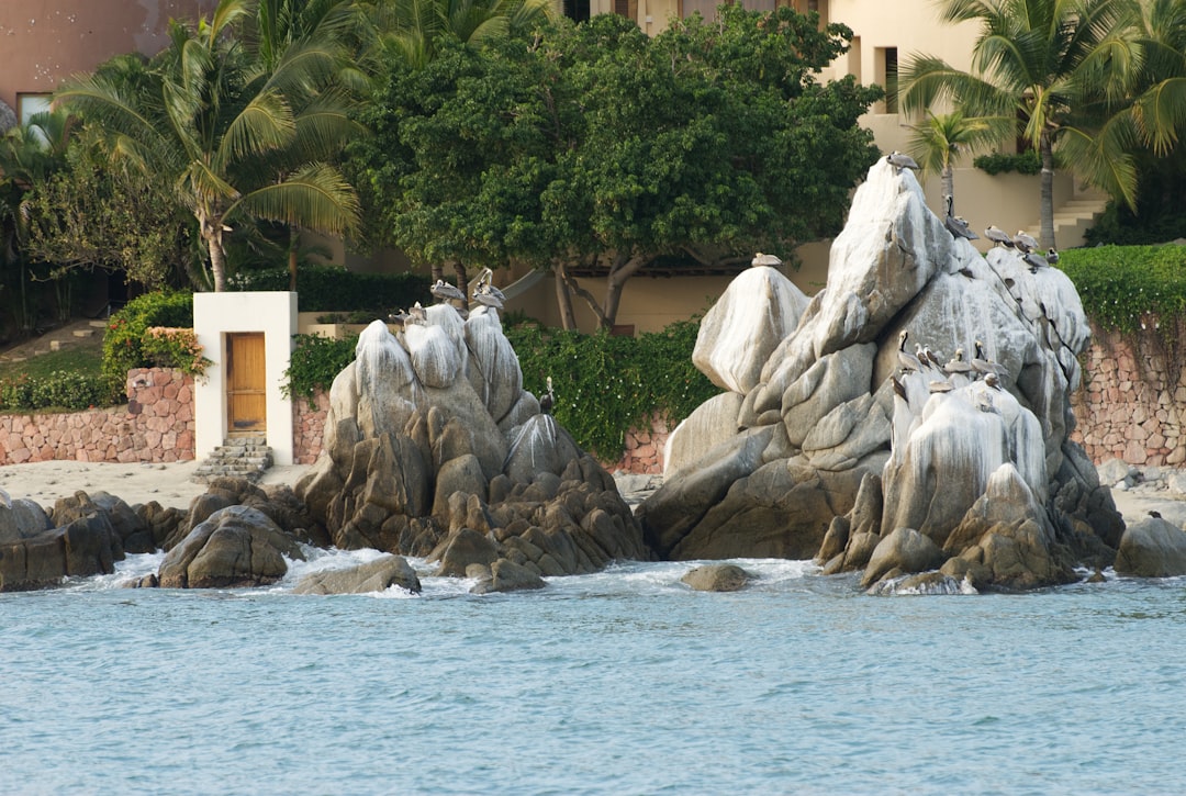 Kalium in voeding: waarom het belangrijk is om op voedingswaarden en voedingsstoffen te letten