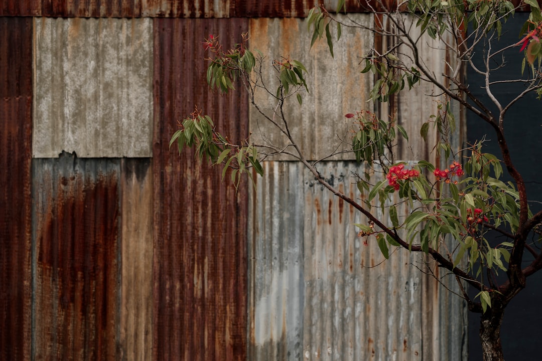 IJzerrijke voeding voor een sterke en gezonde dag