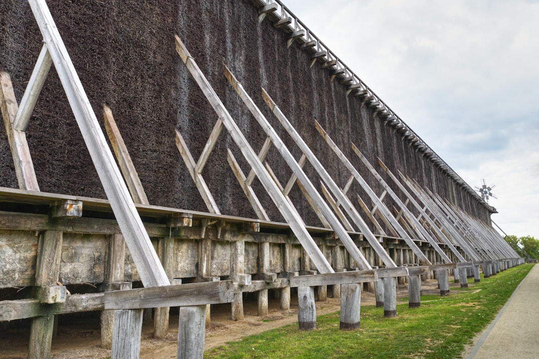 Jodium in voeding: waarom dit spoorelement zo belangrijk is