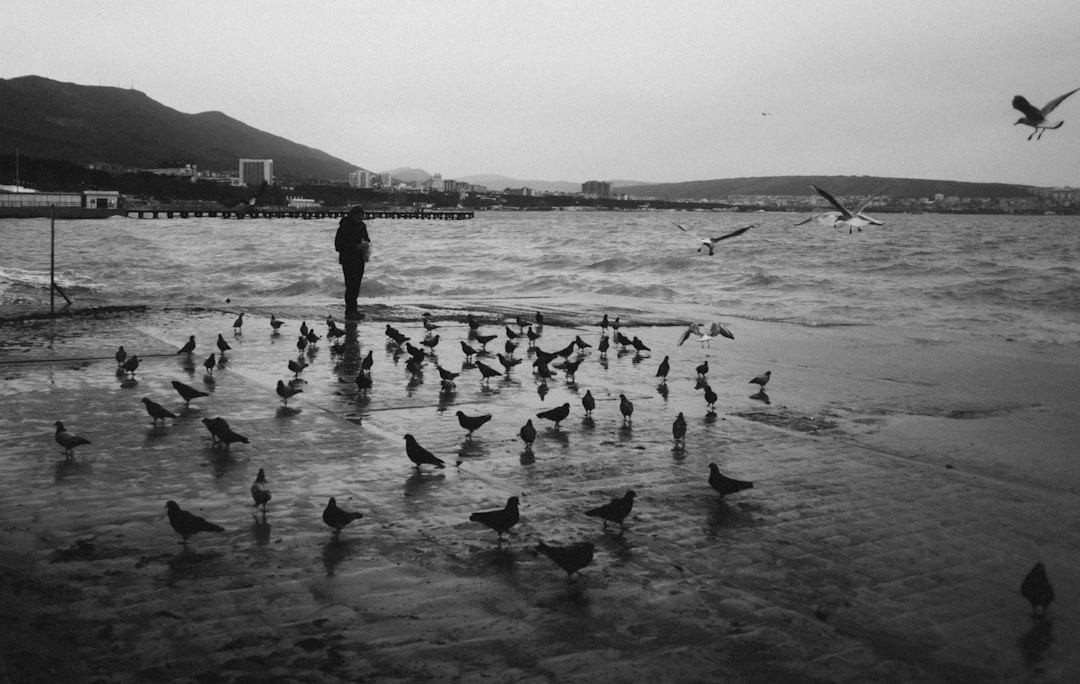 Alles over gezonde voeding voor je baby: hoeveel en wanneer geven?