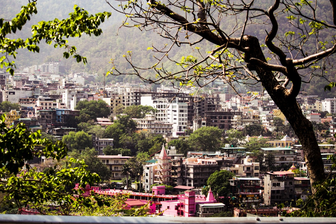 Hoeveel mensen wonen er in Amerika en wat betekent dat voor voeding en het lichaam