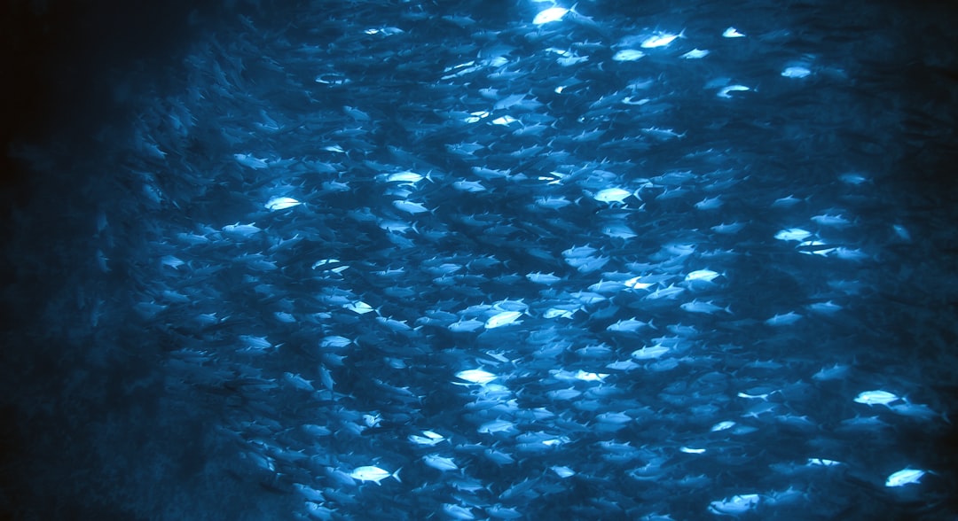 Basisscholen in Nederland: cijfers, verschillen en het belang van voeding en lichaam